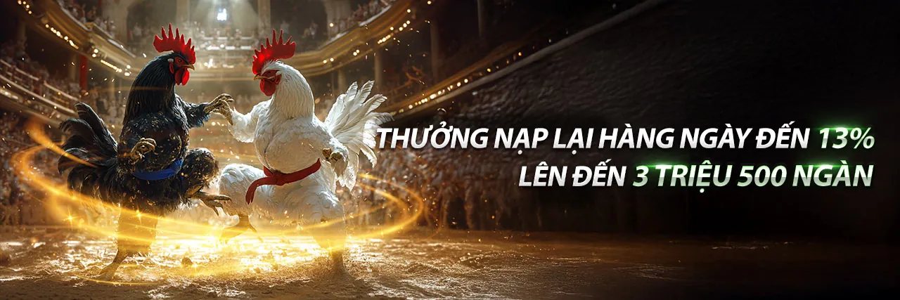 Hướng Dẫn Người Mới HCM66 Nổ Hũ