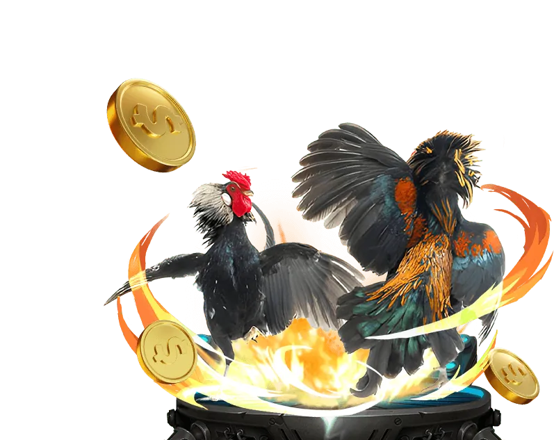 Hướng dẫn đăng ký tài khoản HCM66 Nổ Hũ